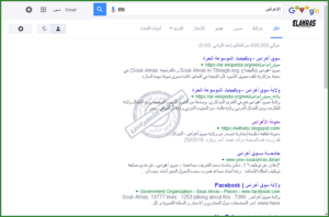 البحث العضوي 1