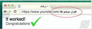البحث العضوي 2