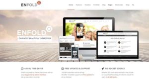 Enfold-theme